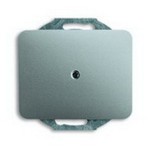 Blindabdeckung titan