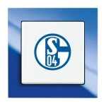 FC Schalke 04