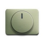 Dimmerabdeckung palladium