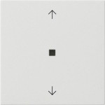 Wippe 1fach mit Pfeil/Kontroll