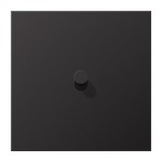 dark (lackiertes Aluminium)