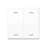 KNX Taster BA geteilte Fläche