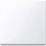 aktivweiß glänzend