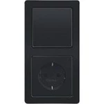 Berker Q.1 / Q.3 / Q.7 / Q.9