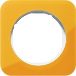 Berker 10112339 Rahmen 1f R.1 Acryl orange Transluz pw 