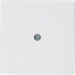 Berker 10196089 Zentralstück f Ka u Vdo-Asd Q.x pw 