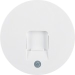 Berker 11702089 Zentralstück m Staubs R.1/R.3 polarweiß 