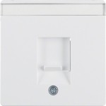 Berker 11706089 Zentralstück m Staubs u BF Q.x polarweiß 