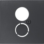 Berker 11961606 Zentralstück f Lsp-Std B.3/B.7 anthrazit 