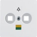 Berker 140309 Zentralplatte für Doppelpotential. p-w 