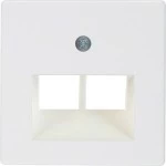 Berker 146909 Z-Platte UAE 2fach F /CT pw 