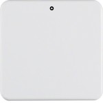 Berker 155109 Wippe AS 3P WG-UP p-weiß 