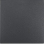 Berker 16201606 Wippe für Wippschalter/Wipptastschalter Serie S.1/B.3/B.7 anthrazit, matt 