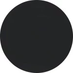 Berker 16202045 Wippe R.1/R.3 schwarz glänzend 