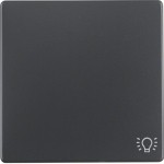 Berker 16206046 Wippe mit Aufdr Symbol Licht Q.x ant 