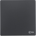 Berker 16206066 Wippe mit Aufdr Symbol Tür Q.x ant 