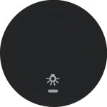 Berker 16212035 Wippe mit klar Linse u Sym Licht R1/3 sw 