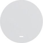 Berker 16212089 Wippe m klarer Linse R.1/R.3 pw 