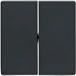 Berker 16236086 Wippe für Wippschalter 2-fach Serie Q.x anthrazit, samt 