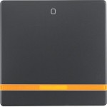 Berker 16246086 Wippe m oranger Linse u Aufdr 0 Q.x an 