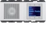 Berker 29807009 Radio mit Lautspr. DAB+ K.x pw. gl. 