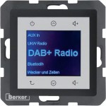 Berker 29846086 Radio DAB+, Q.x anth. 