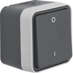 Berker 30723505 Ausschalter 2p Druck 0 u 1 AP W.1 gr LT 