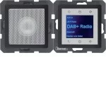 Berker 30806086 Radio Touch mit Lautsprecher, Einbauradio UP, DAB+, Bluetooth Q.x anthrazit samt 