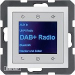 Berker 30849909 Radio DAB+, Bt., S.1/B.x pw. matt 