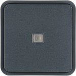 Berker 30863545 Wippe 1f. f. W.1 Taster-BA,Linse,grau 