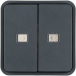 Berker 30863555 Wippe 2f. f. W.1 Taster-BA,2 Linsen,grau 