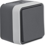 Berker 50453525 Aufputz Taster, Schließer W.1 grau LT 