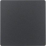 Berker 75940485 Zentralplatte f Sens.eins ZPS B.3/7 anth 