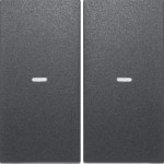 Berker 80960385 Abdeckung 2f. Tastsen.-Modul S/B anth 