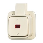 Busch-Jaeger 2CKA001052A0133 Wipp-Kontrollschalter 2-polig, Ausschalter 
