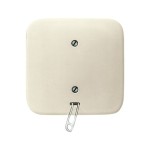 Busch-Jaeger 2CKA001315A0191 Zugschalter Aus- und Wechselschaltung 