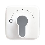 Busch-Jaeger 2CKA001710A1456 Zentralscheibe mit Aufdruck Symbol 0 und 1 für Jalousie, Schlüsselschalter 