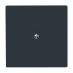 Busch-Jaeger 2CKA001710A1928 Zentralscheibe mit Tragring für Blindabdeckung anthrazit - Allwetter 44® (IP44) 