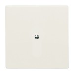 Busch-Jaeger 2CKA001710A2264 Zentralscheibe mit Tragring für Blindabdeckung weiß - Allwetter 44® (IP44) 