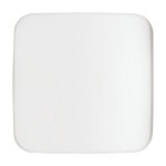 Busch-Jaeger 2CKA001710A2900 Zentralscheibe NeutralReflex SI/SI Linear 