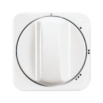 Busch-Jaeger 2CKA001710A3109 Zentralscheibe mit Aufdruck Symbol 0-1-2-3 für Stufenschalter, Drehknopf 