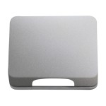 Busch-Jaeger 1746-266-101 Zentralscheibe titan 2CKA001710A3339 