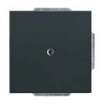 Busch-Jaeger 2CKA001710A3614 Zentralscheibe für Leitungsauslass 1-fach mit Tragring anthrazit - Plattform 63 