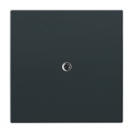 Busch-Jaeger 2CKA001710A3624 Zentralscheibe Telefonverbindersteckdosen (Vdo) anthrazit - Plattform 63 