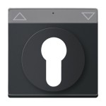 Busch-Jaeger 2CKA001710A3902 Zentralscheibe mit Aufdruck Symbol Pfeile oder 0 - 1 für Jalousie, 