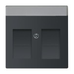 Busch-Jaeger 2CKA001710A3910 Zentralscheibe mit Beschriftungsfeld Modular-Jack-Einsatz 2-fach schwarz matt - 
