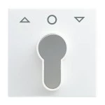 Busch-Jaeger 2CKA001710A4069 Zentralscheibe mit Aufdruck Symbol Pfeile und 0 für Jalousie, 