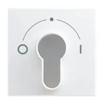 Busch-Jaeger 2CKA001710A4070 Zentralscheibe mit Aufdruck Symbol 0 und 1 für Jalousie, Schlüsselschalter 
