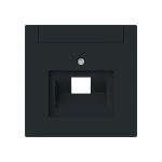 Busch-Jaeger 2CKA001710A4222 Zentralscheibe mit Beschriftungsfeld Kommunikations-Steckverbinder 1-fach 