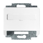 Busch-Jaeger 2CKA001724A2067 Zentralscheibe mit Tragring mit Beschriftungsfeld Kommunikations-Steckverbinder 